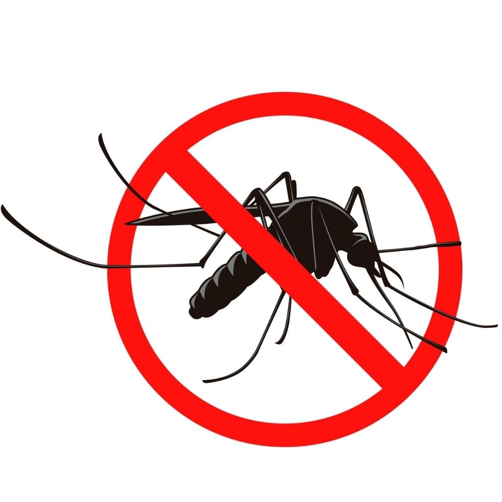 MOSQUITO CONTROL in pune