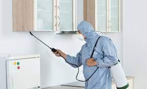 Best pest control service in Pune